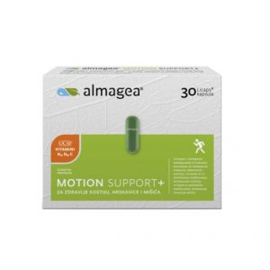 MOTION SUPPORT